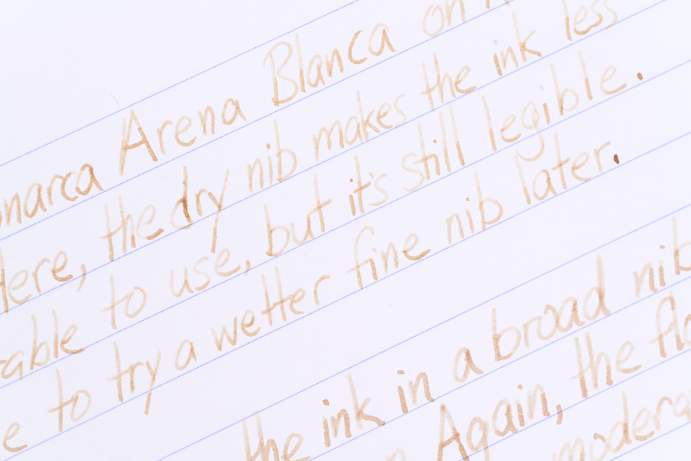 Monarca Arena Blanca Writing Sample
