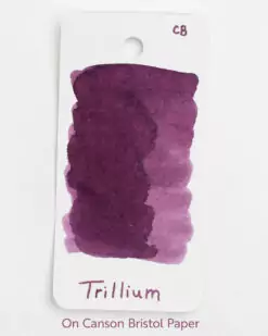 Alternative view of Western Trillium Ink