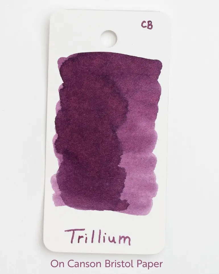 Western Trillium Ink, 50ml - Image 2