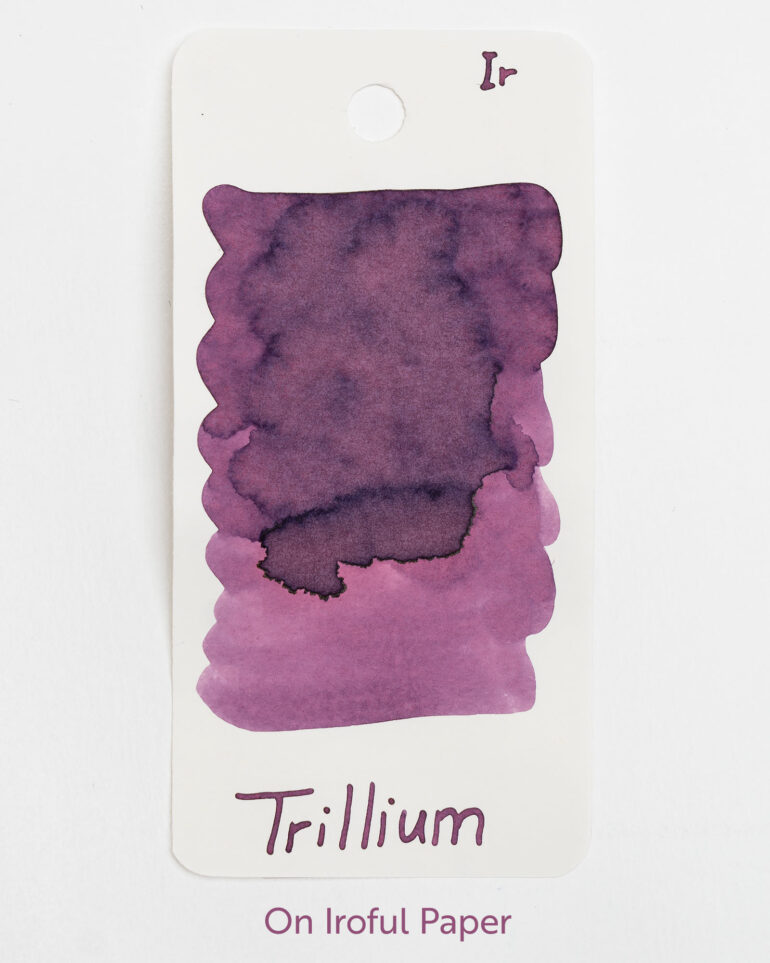 Western Trillium Ink, 50ml - Image 6