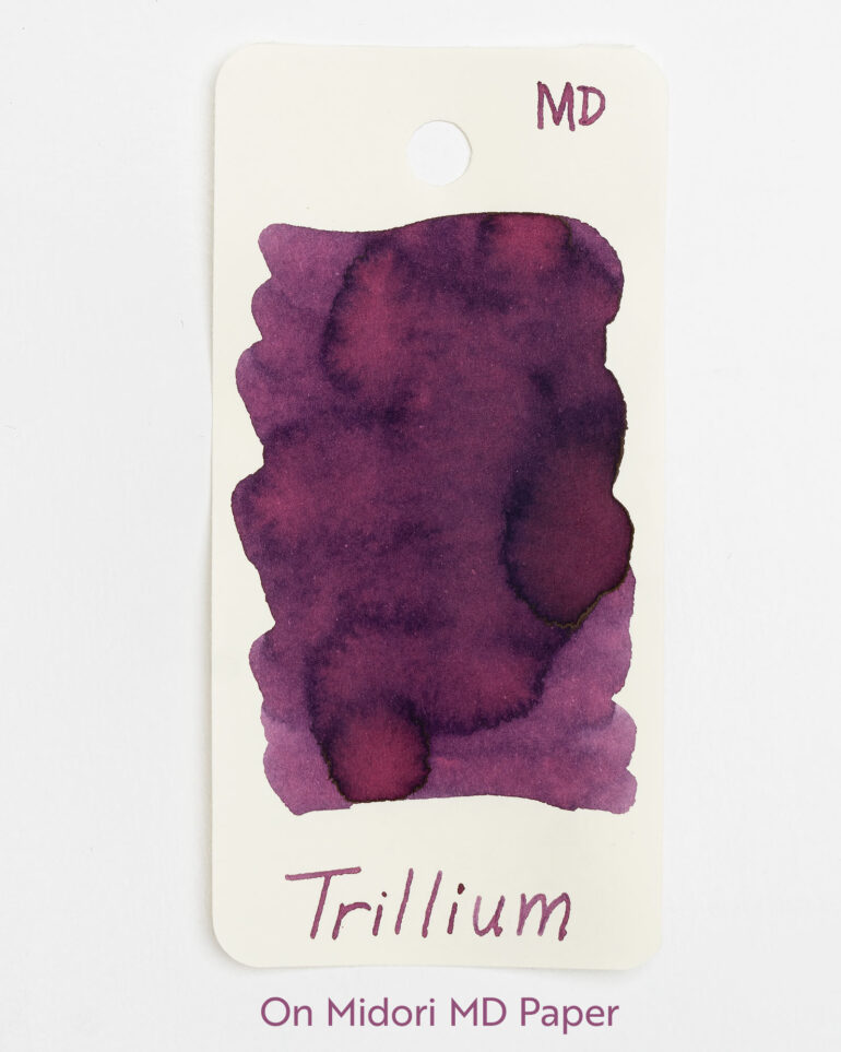 Western Trillium Ink, 50ml - Image 7