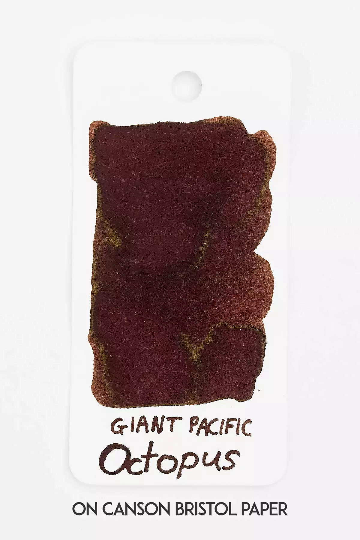 Giant Pacific Octopus Ink - Image 4