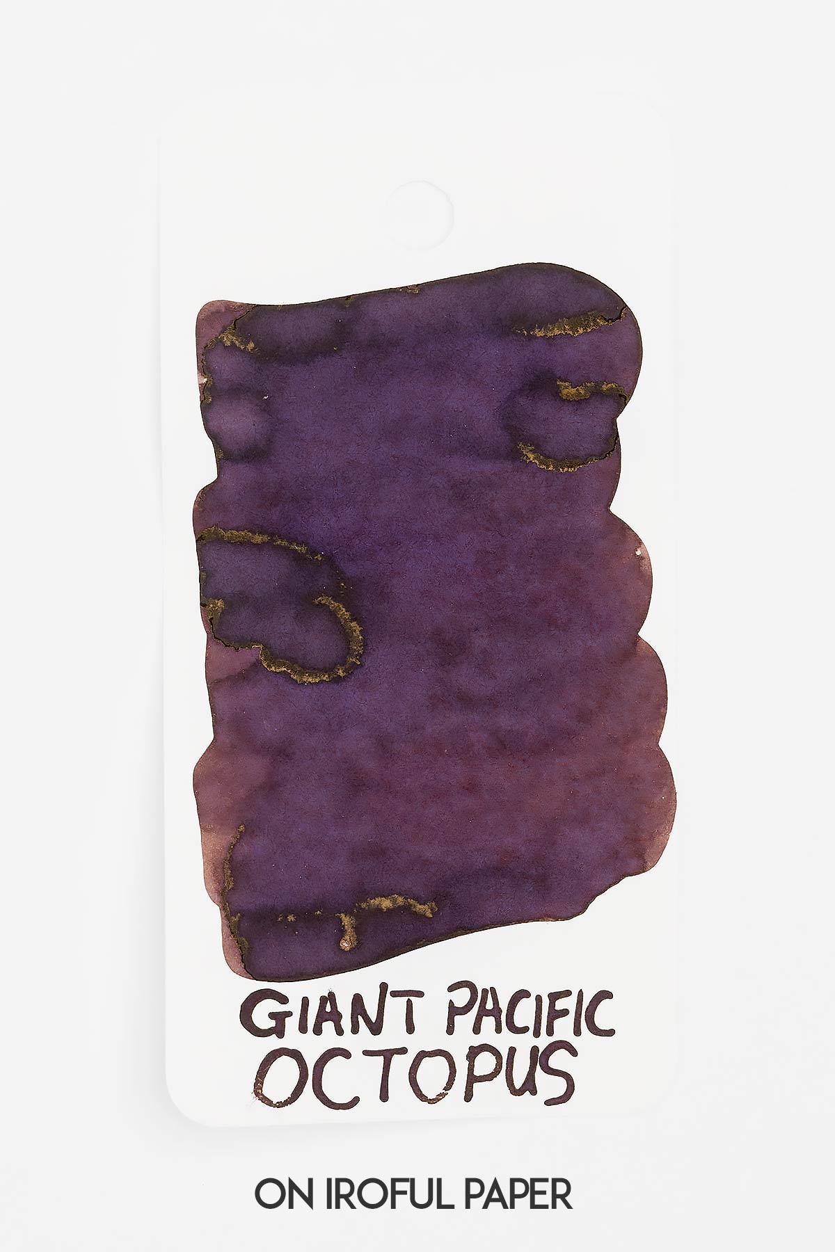 Giant Pacific Octopus Ink - Image 5