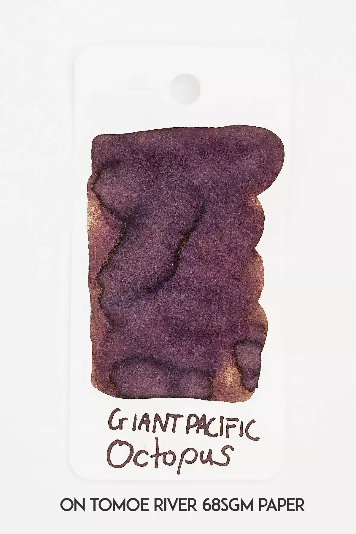 Giant Pacific Octopus Ink - Image 3