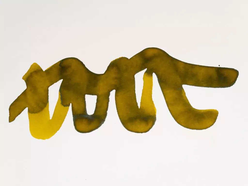 Sample of Bull Kelp Ink