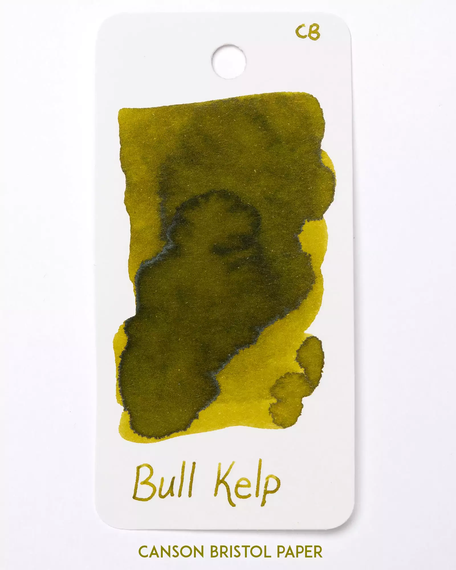 Bull Kelp Ink - Image 3