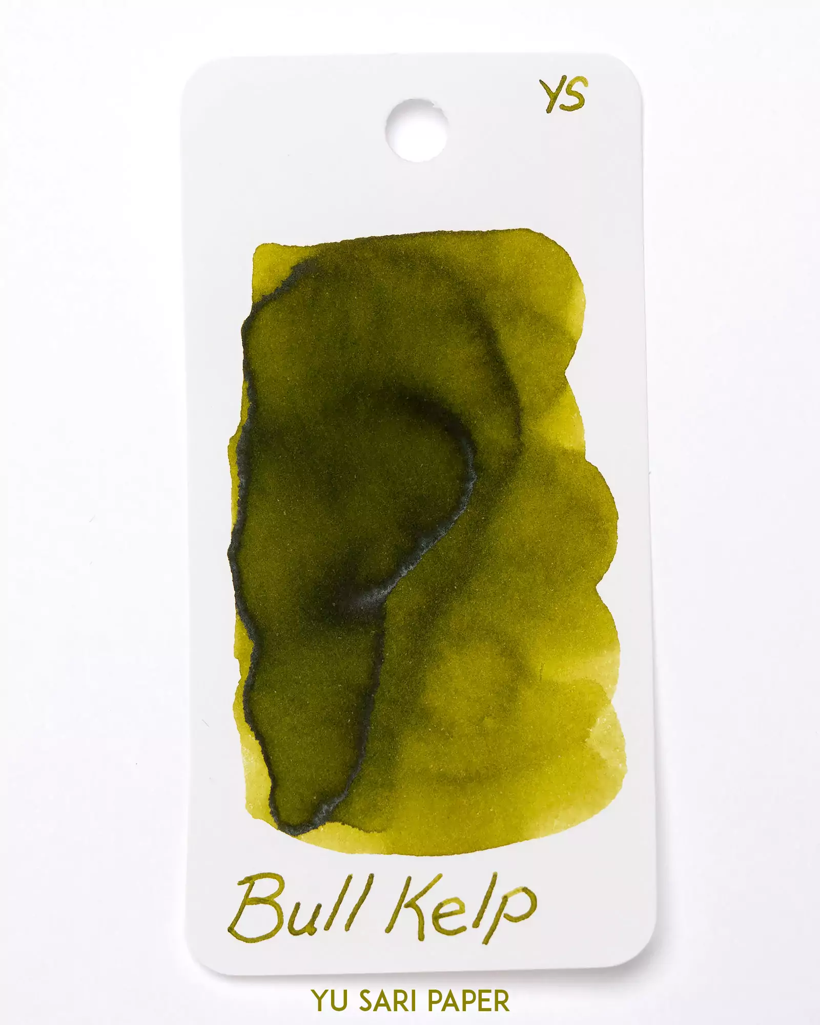 Bull Kelp Ink - Image 2