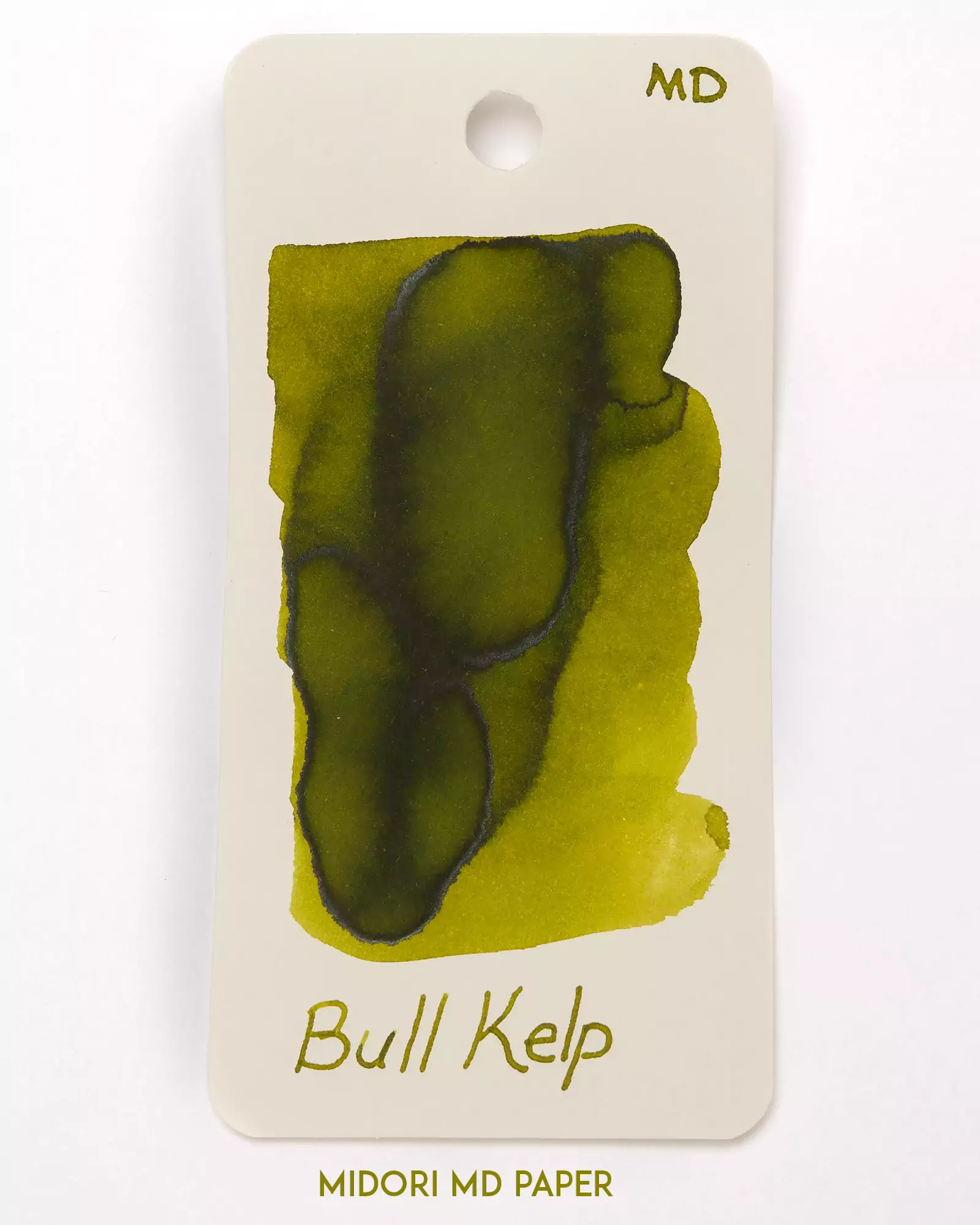 Bull Kelp Ink - Image 4