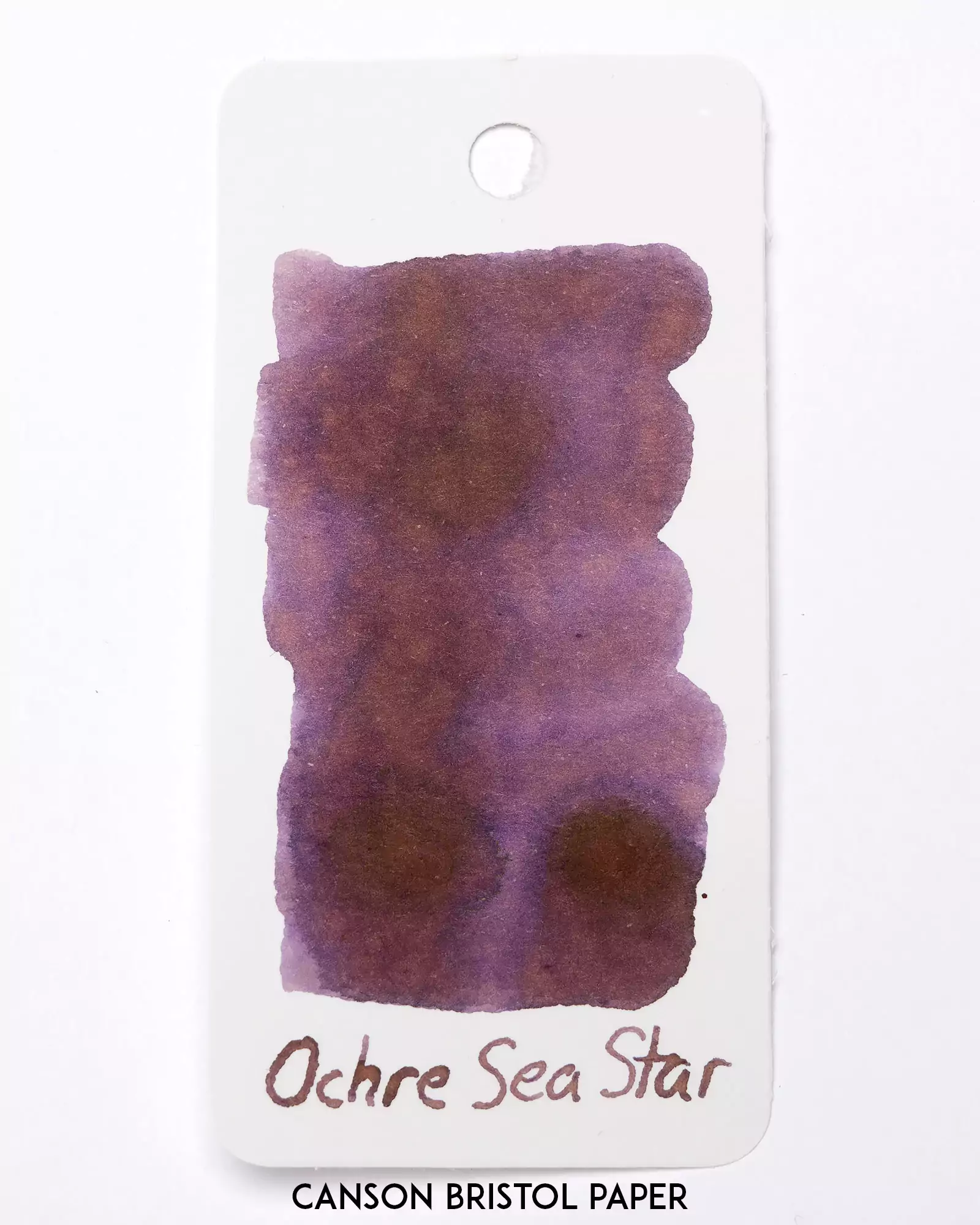 Ochre Sea Star Fountain Pen Ink - Image 4