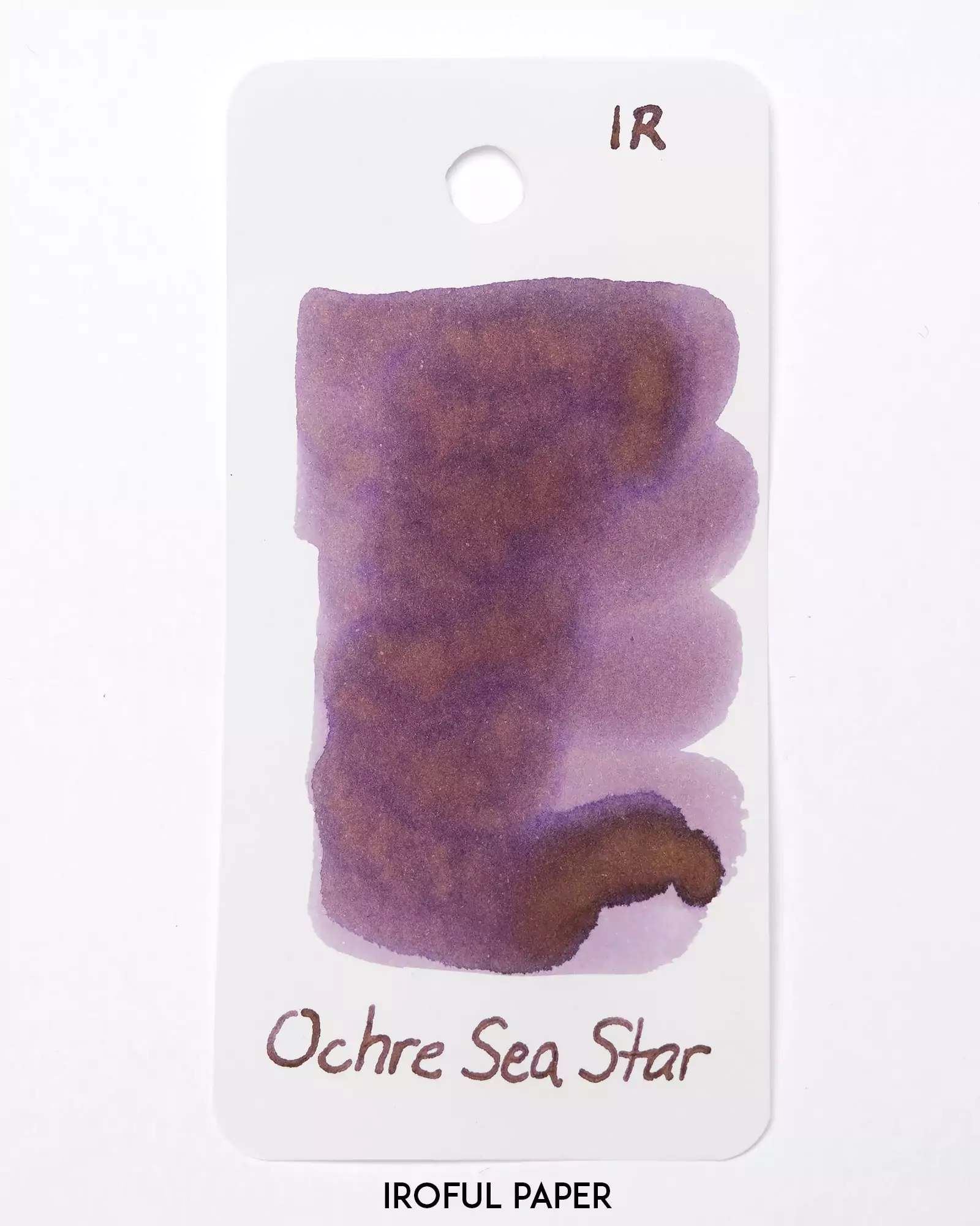 Ochre Sea Star Fountain Pen Ink - Image 5
