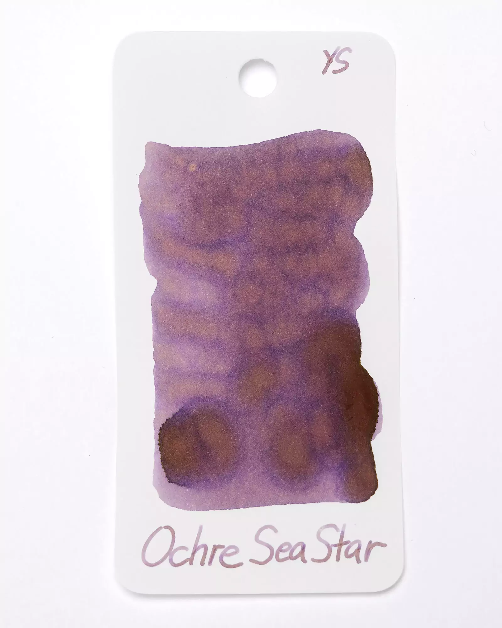 Ochre Sea Star Fountain Pen Ink - Image 7