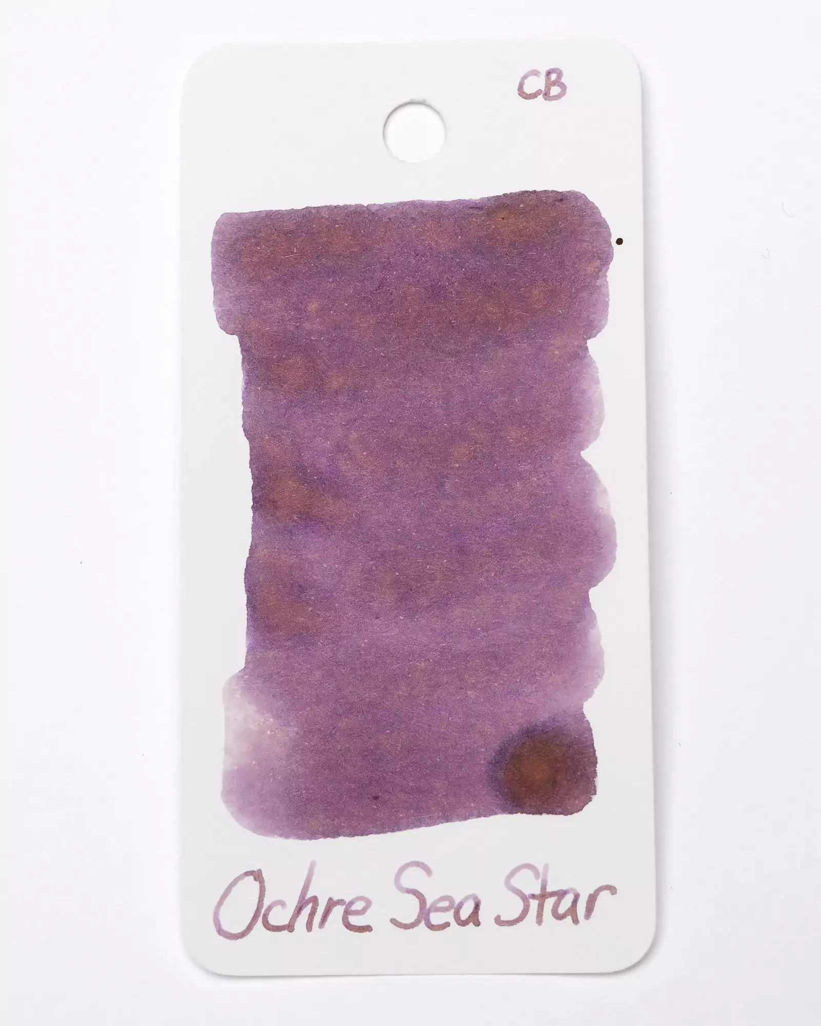 Ochre Sea Star Fountain Pen Ink - Image 8